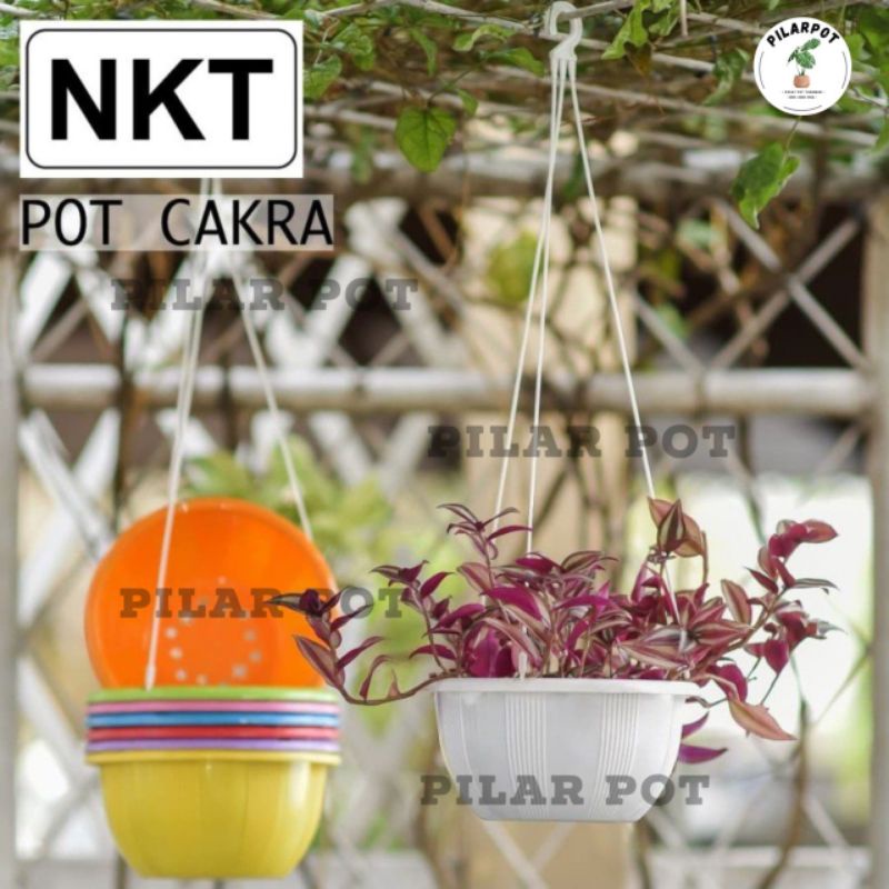 pot bunga tanaman gantung bulat nkt cakra warna warni 20cm - NKT CAKRA