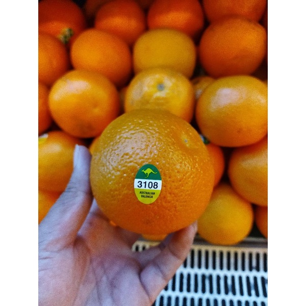 

jeruk navel Valencia Australia | 1 kg
