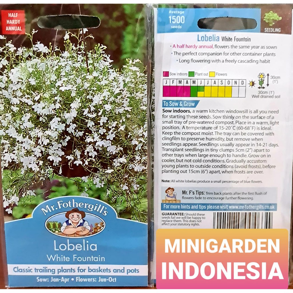 Benih Bunga LOBELIA WHITE FOUNTAIN PACK 1500 BIJI bibit bunga import F1 Mr. Fothergills