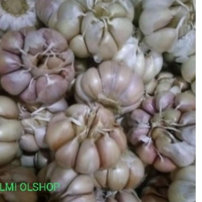 

Mari Dicoba☄️ BAWANG PUTIH SUPER BERSIH 500 gram | Ready Stok | Termurah | Grosir