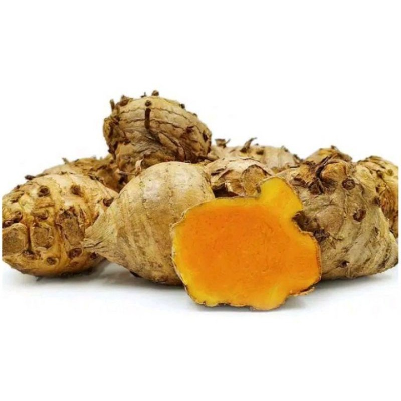 

TEMULAWAK / TEMU LAWAK SEGAR / TEMU GIRING 1 KG