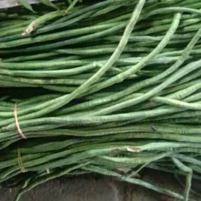 

kacang panjang segar