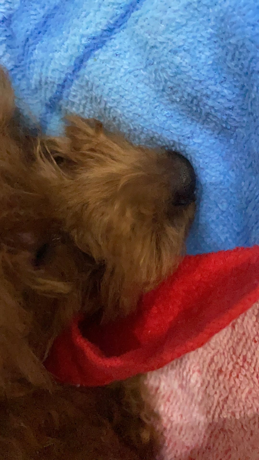 Bean Bag Komplit Isi Triangle / Oval Utk Dewasa Komplit Isi Bahan Waterproof Taslan Dan Katun