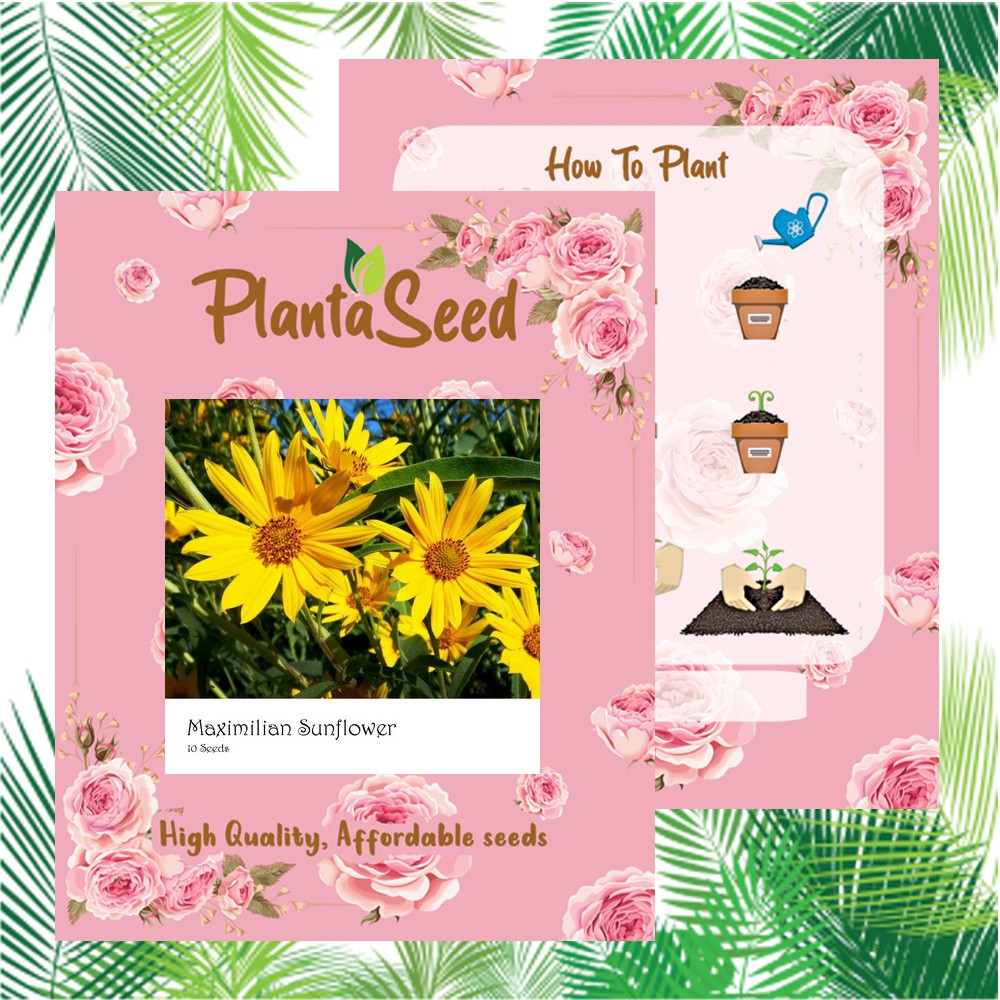 PlantaSeed - 10 Seeds - Maximilian Sunflower Biji Bunga - PAS0205