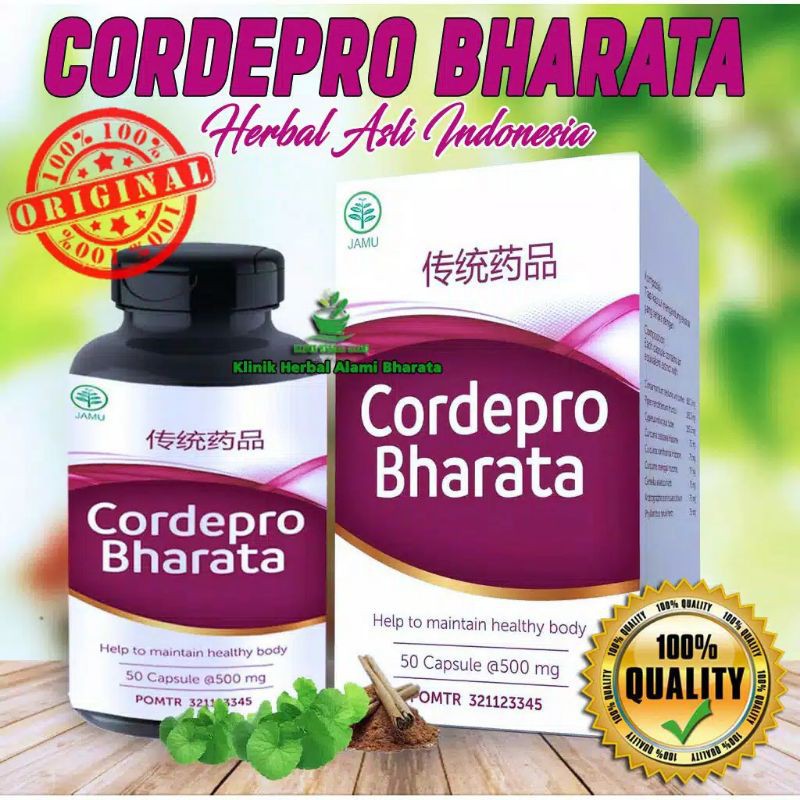 CORDEPRO BHARATA herbal asli.