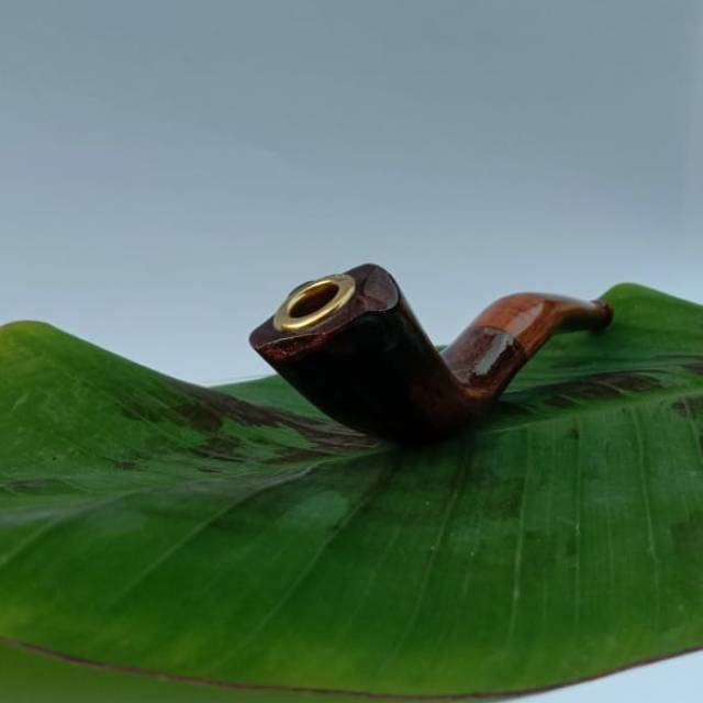 

PIPA ROKO DARI BONGGOL PISANG