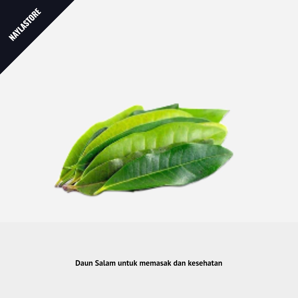 

DAUN SALAM Segar Petik Pohon 100gr