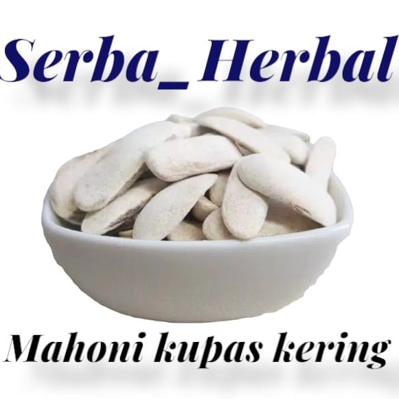 Biji Mahoni Kupas 500gram Biji Mahoni