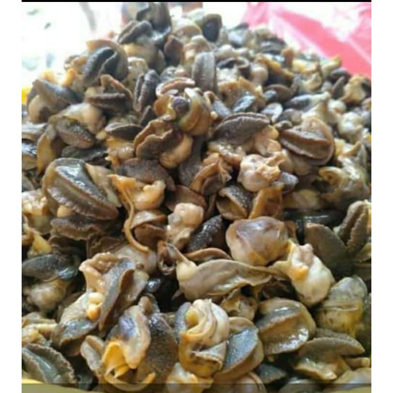 

daging bekicot bersih,sudah rebusan tinggal masak(1kg)