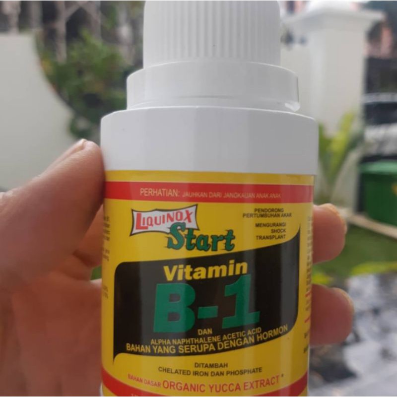pupuk tanaman - VITAMIN B1 LIQUINOX 100ML - B1 - vitamin tanaman