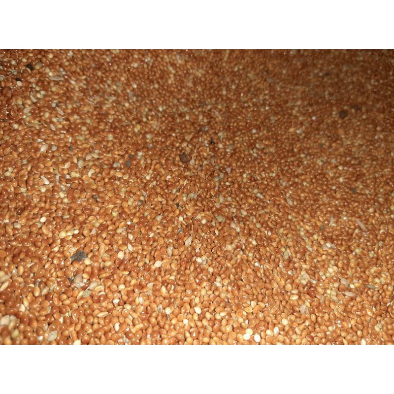 milet merah kiloan