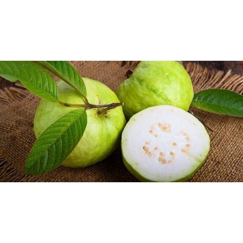 

Jambu Kristal 500 gr