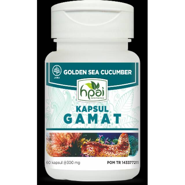 Gamat kapsul hpai