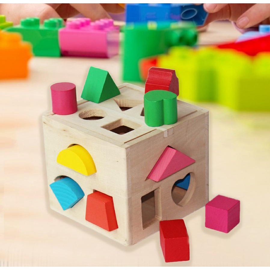 Thirteen Hole Intelligence DDM08 - Mainan Edukasi Anak