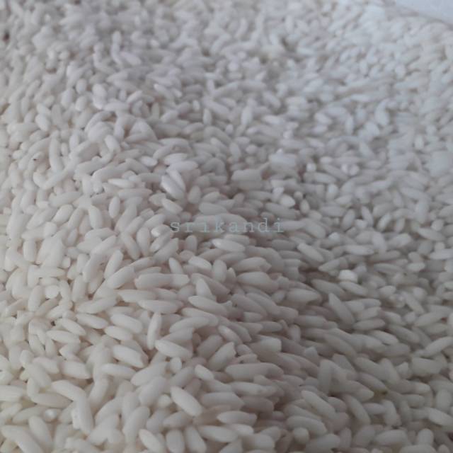 Beras Ketan Putih Solo Ketan Lokal Harga Ecer 1 Kg Indonesia