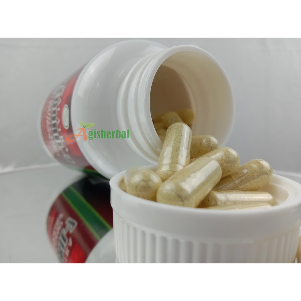 [ ORIGINAL ] Obat Herbal Zedoril 7 | Walatra Zedoril 7 | Herbal Kanker, Tumor Dan Benjolan 60 Kapsul-7