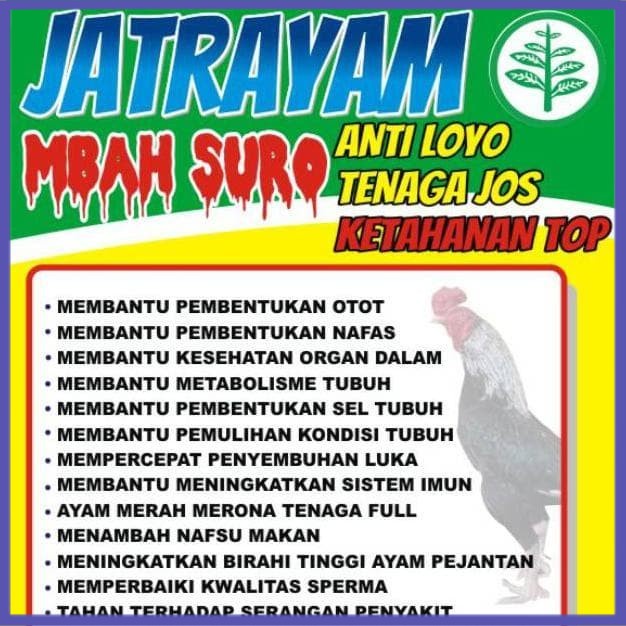 

✔ COD ✔ READY Jamu Ayam Aduan Mbah Suro