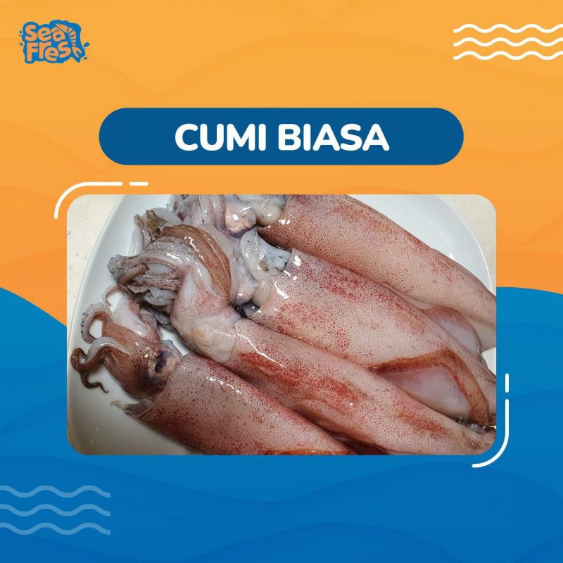 

Cumi Segar 1 Kg