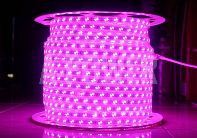 Hi Light - Lampu LED Strip Selang SMD 5050 Ungu (Double Mata LED)