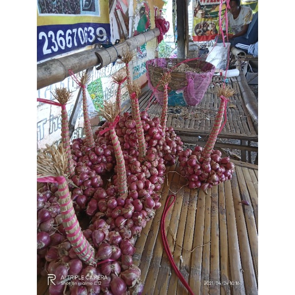 

bawang merah untingan