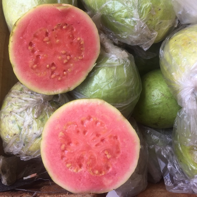 

Jambu biji merah