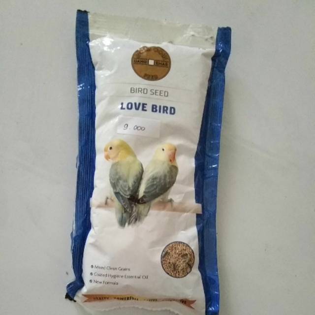 Gold coin lovebird
