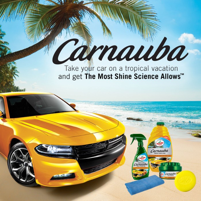 Turtle Wax Carnauba Paste Cleaner Wax 397 gr