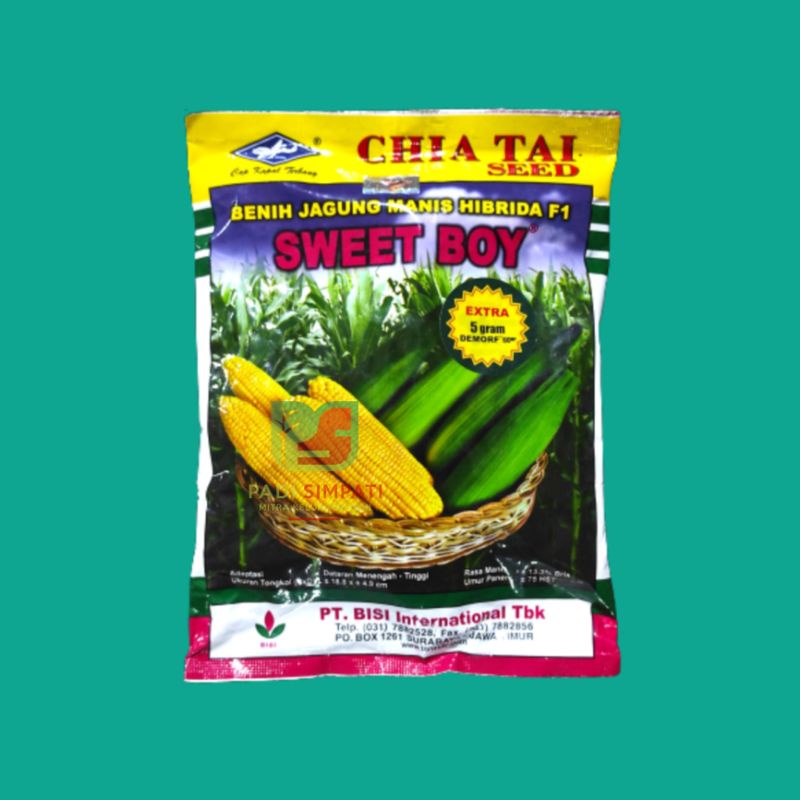 Benih Jagung Manis Hibrida SWEET BOY