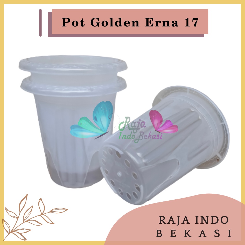 Rajaindobekasi Pot GE17 Golden Erna 17 Transparan Bening Garden Of Love Mirip Pot Yogap 15 17 Putih Coklat Merah Bata Bening Transparan Pot Yogap 17 18 19 Pot Yogap Murah Pot Bunga Tinggi Pirus Tegak Bagus Tebal