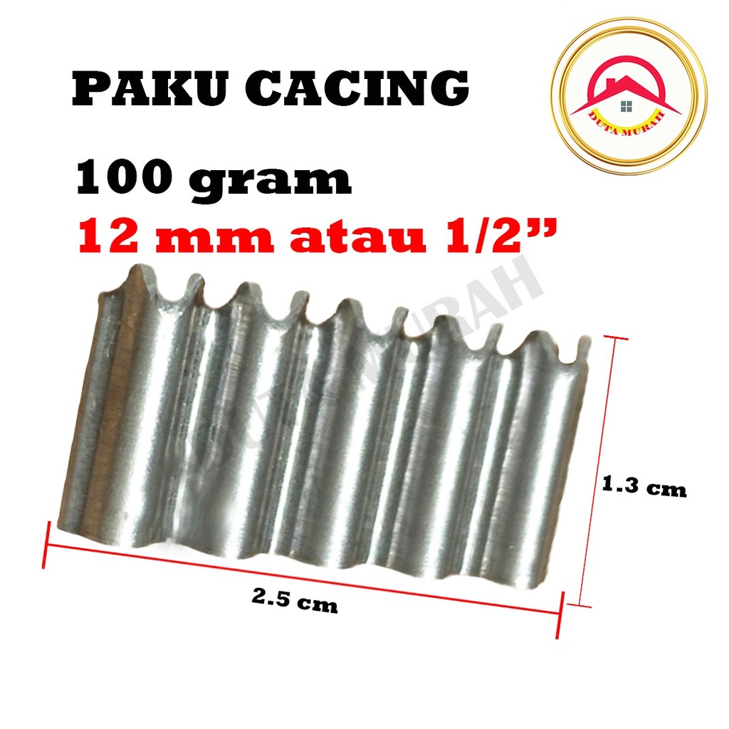 Paku Cacing 9 mm / 12 mm isi 100 Gram /Paku Papan Pecah