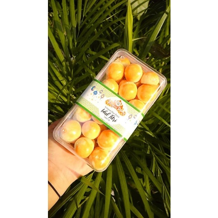 

Nastar by BUNG TAN bakery 475gr