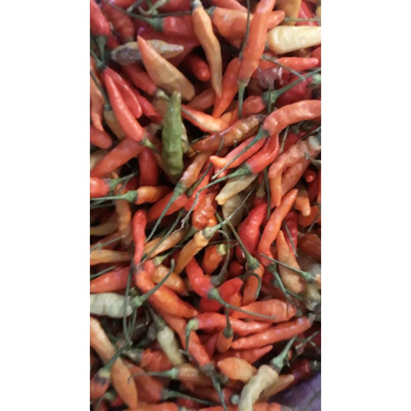 

cabe rawit pedas super