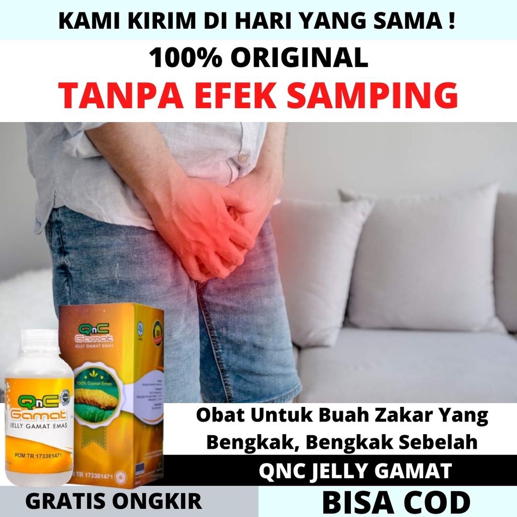 Biji Zakar Bengkak  Biji  Zakar Bengkak Sebelah Bauh Zakar Sakit Tanpa Efek Samping QNC Jelly Gamat