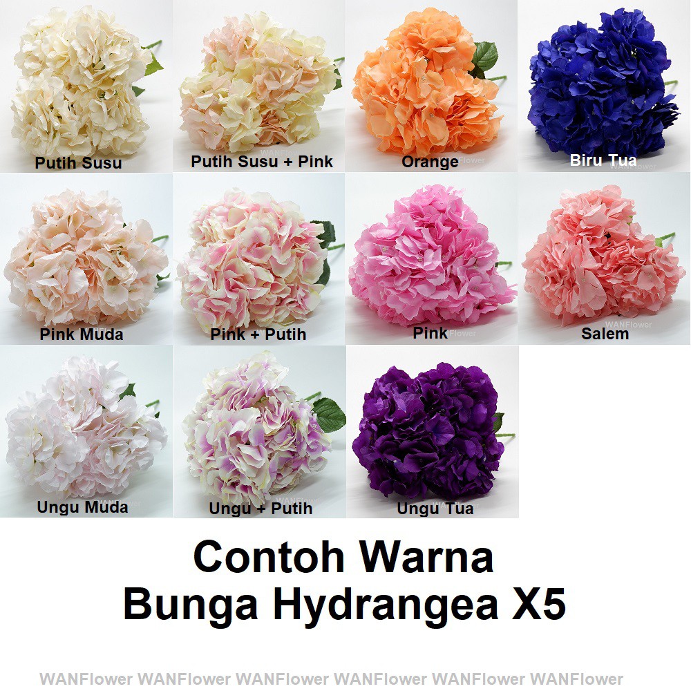 WANFlower Bunga Hydrangea X5 * UNGU+PUTIH