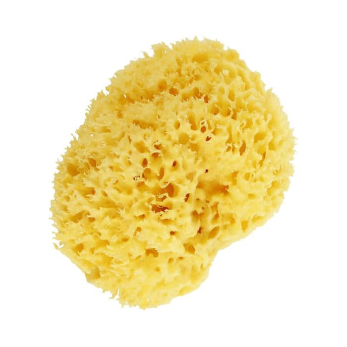 Bellini - Honeycomb Natural Sea Sponge