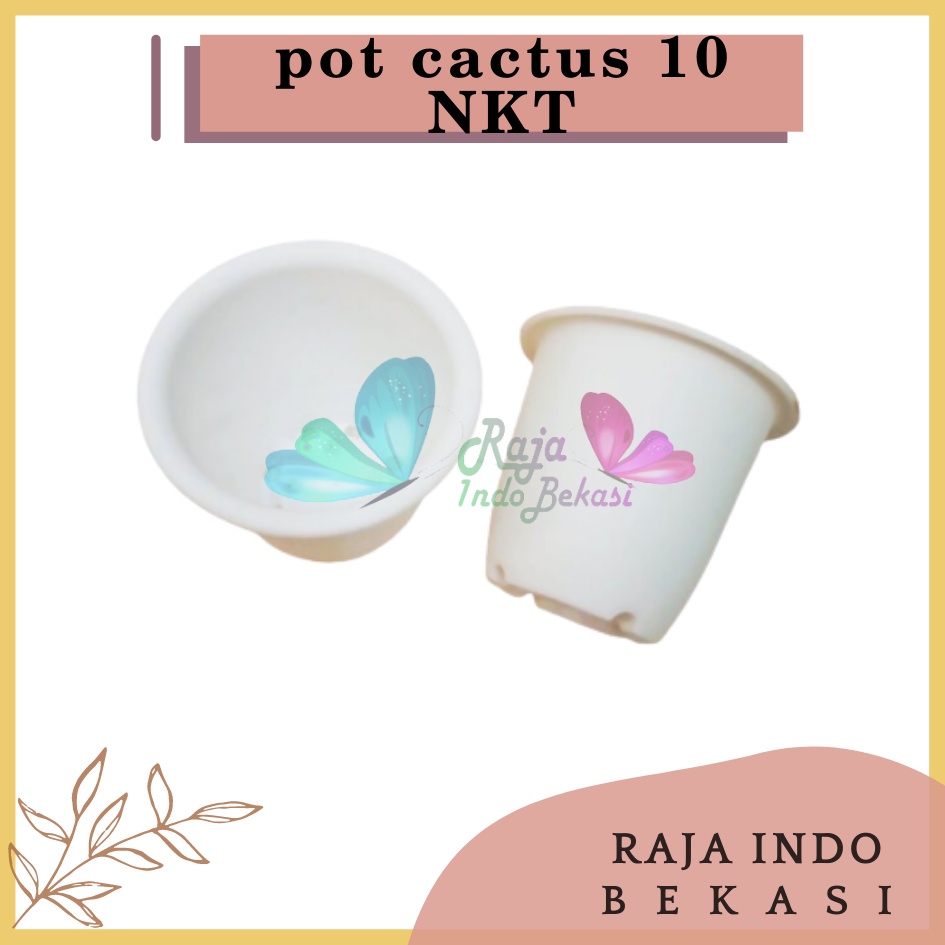 Pot Kaktus Nkt 10 Putih Pot Cactus Nkt 10 Cm Putih Pot Plastik Putih Bibit Kaktus Putih Tanaman