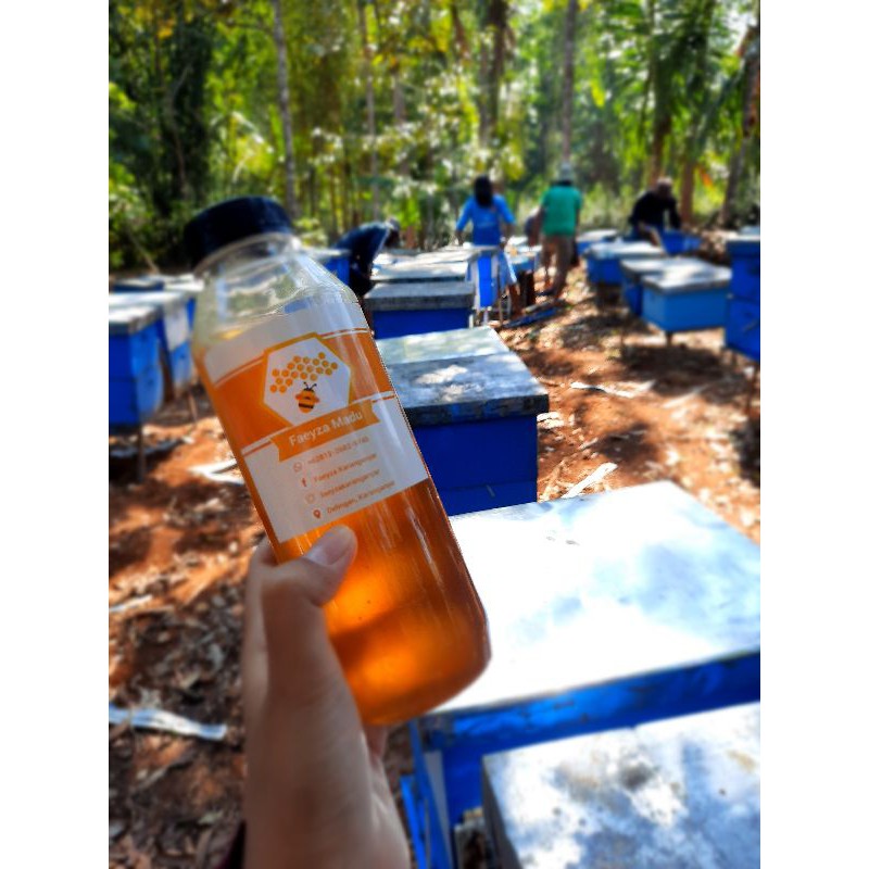 

Madu Kelengkeng Asli ukuran 500 ml