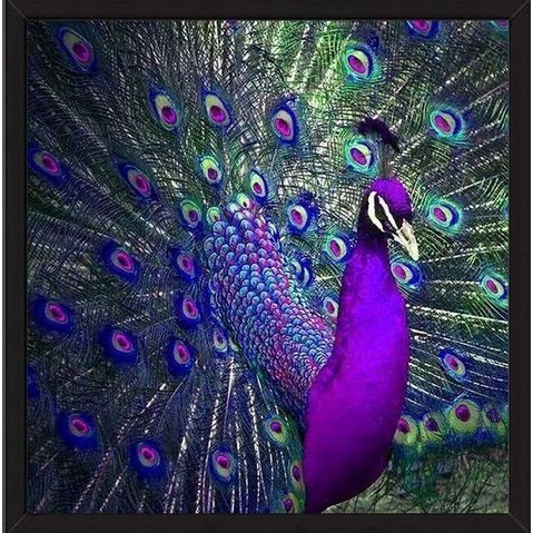 DIY Diamond Painting - 5D Peacock Bird Stitch Kit