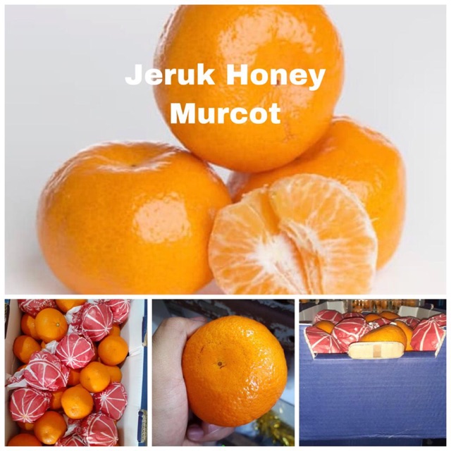 

Jeruk Murcot Orange