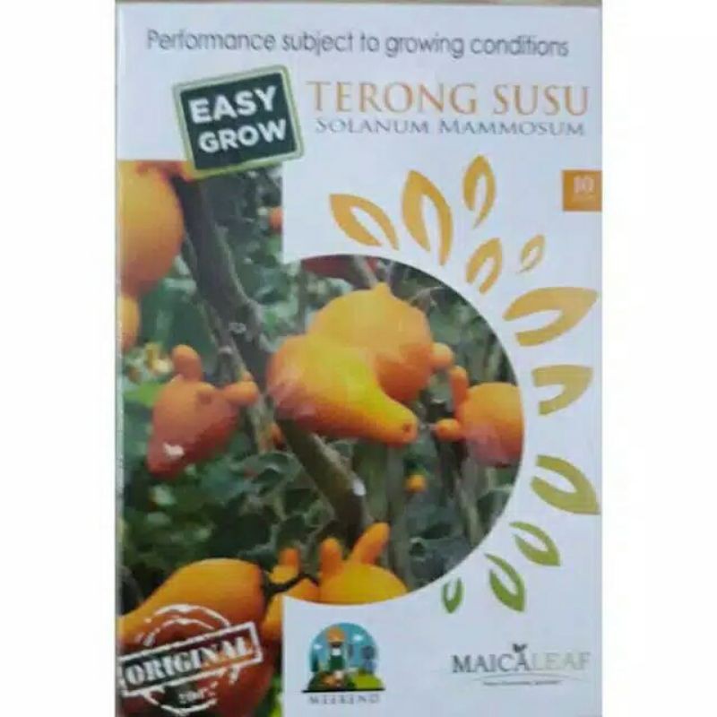 

Pack Biji TERONG SUSU Herbs Solanum Mammosum