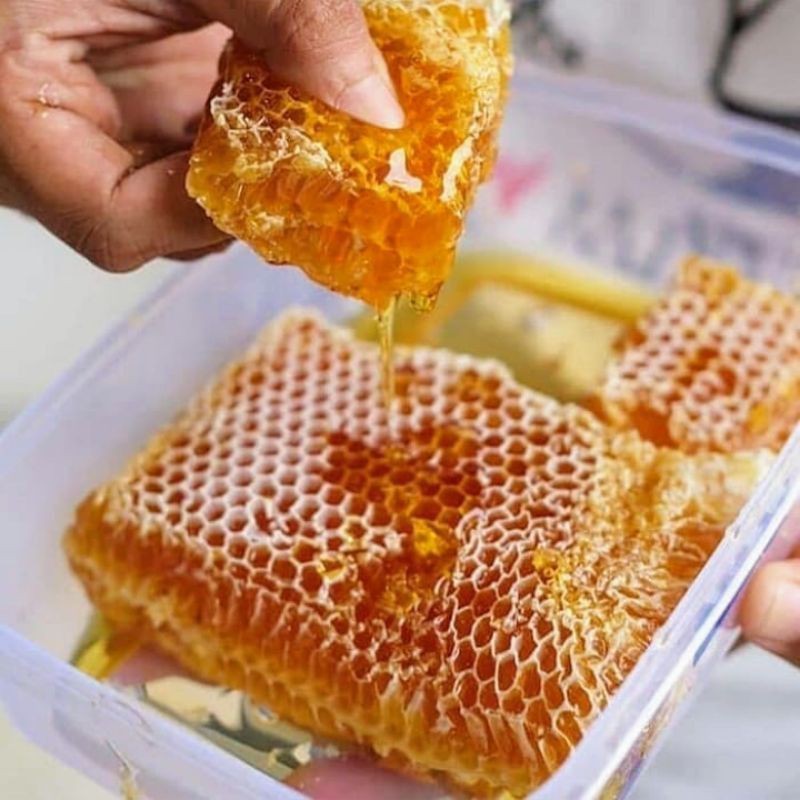 

Madu Sarang Al Asli Original Epis Melifera / Honey Comb