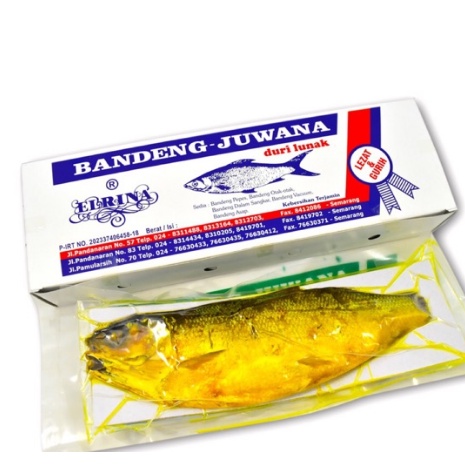 

1KG Bandeng Presto Juwana Semarang (Vacuum Basah)