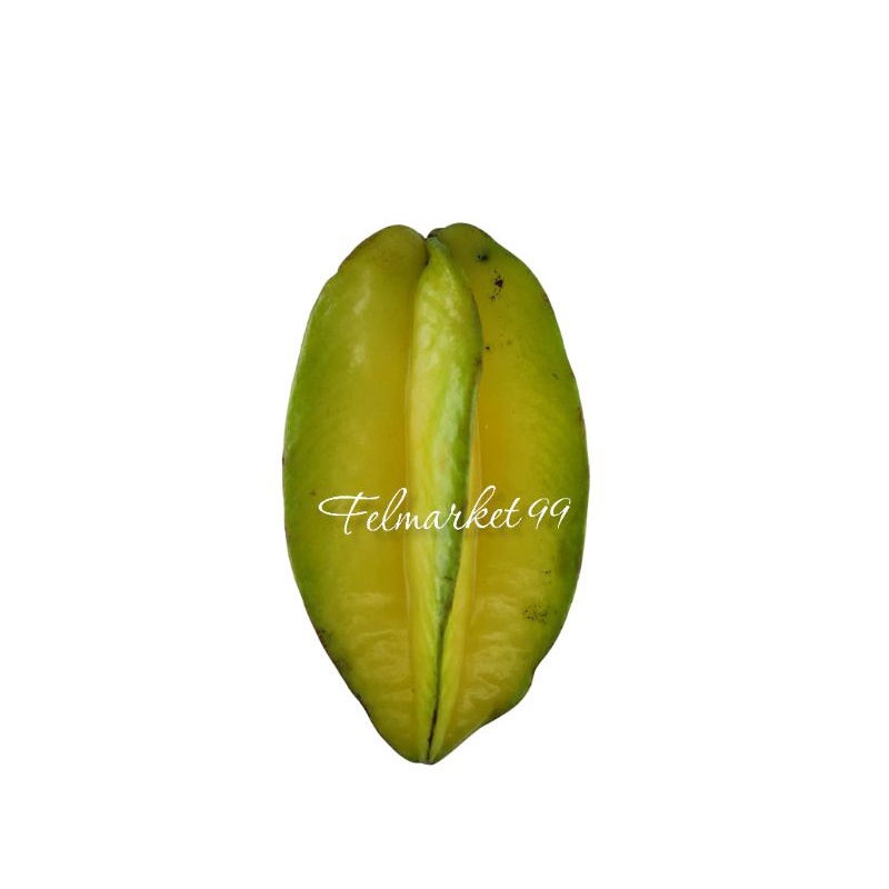 

buah belimbing madu | 1 kg