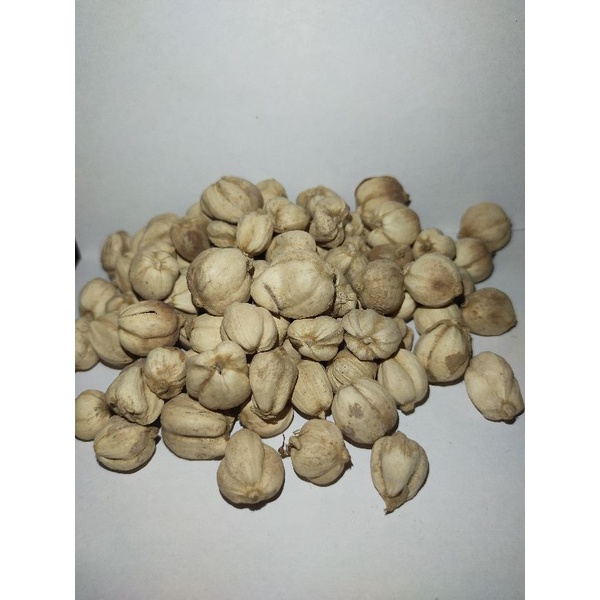 

Kapulaga Kering 500g / Kapulaga Jawa 500g