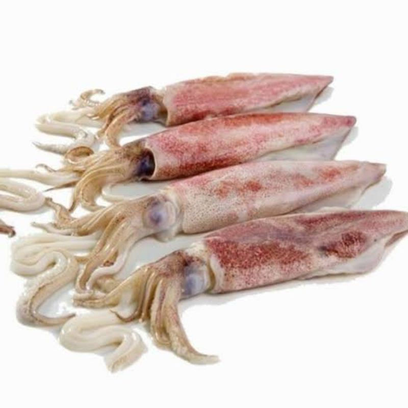 

cumi basah 500 gram