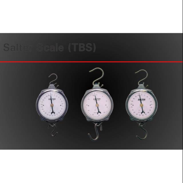 TIMBANGAN SALTER ASLI