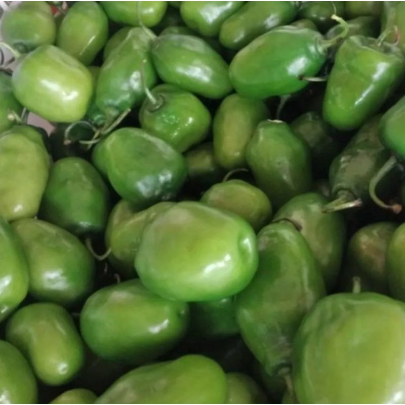 

cabe gendot gembor super 1 kg ( segar )