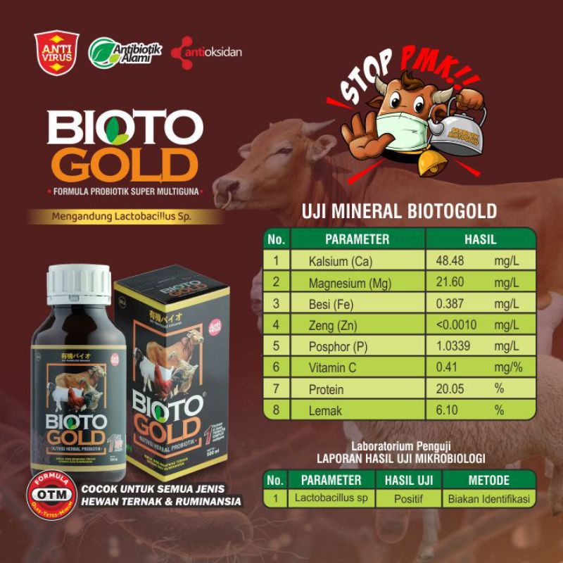 DUO HANDAL BIOTOGOLD DAN M25 DISINFEKTAN UNTUK ATASI PENYAKIT MULUT DAN KUKU SAPI