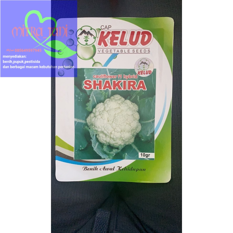 Benih Bunga Kol / bungkul SHAKIRA isi 10gr dari CAP KELUD