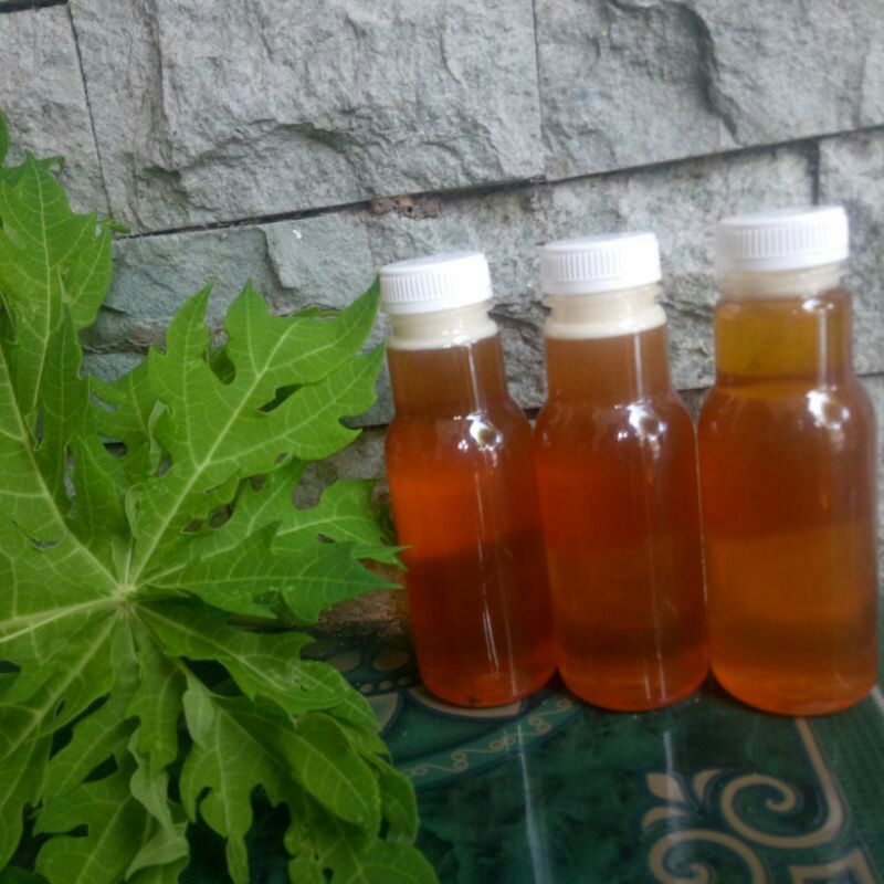 

Madu Asli Murni Original Lebah Tawon mellifera kemasan Botol ( 350ml )
